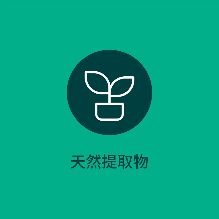 板块2025-24