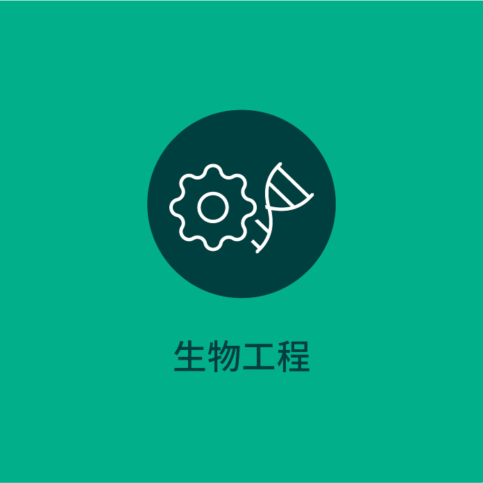 板块2025-25